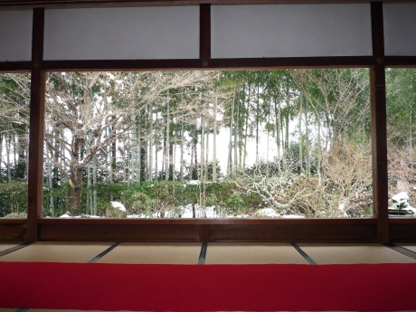 京の庭